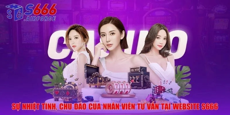 Sự nhiệt tình, chu đáo của nhân viên tư vấn tại website S666
